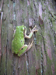090502-2.jpg
