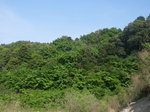 090502-4.jpg