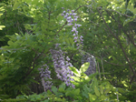 090502-6.jpg