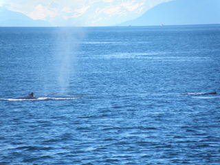 alaska04.jpg
