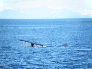 alaska05.jpg