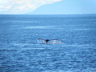 alaska06.jpg