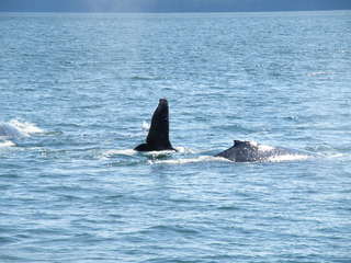 alaska08.jpg