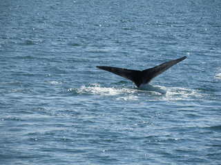 alaska09.jpg