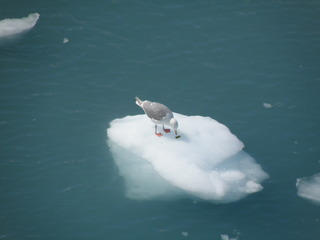 alaska12.jpg