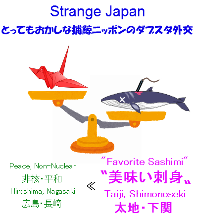 Strange double standard of Japan's diplomacy